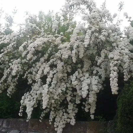 Casa Joan 2*